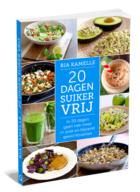 20 Dagen Suikervrij pdf download