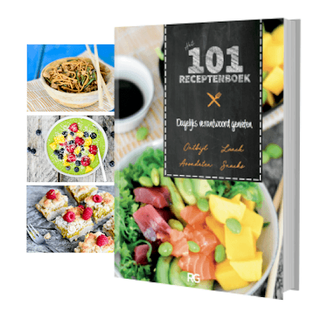 pdf 101 receptenboek download