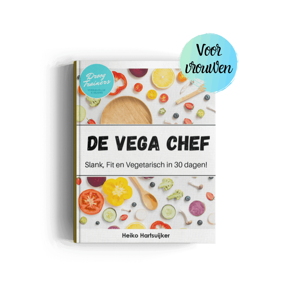vega chef veggy receptenboek